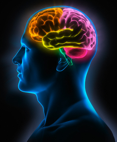 Visual of Man's Brain